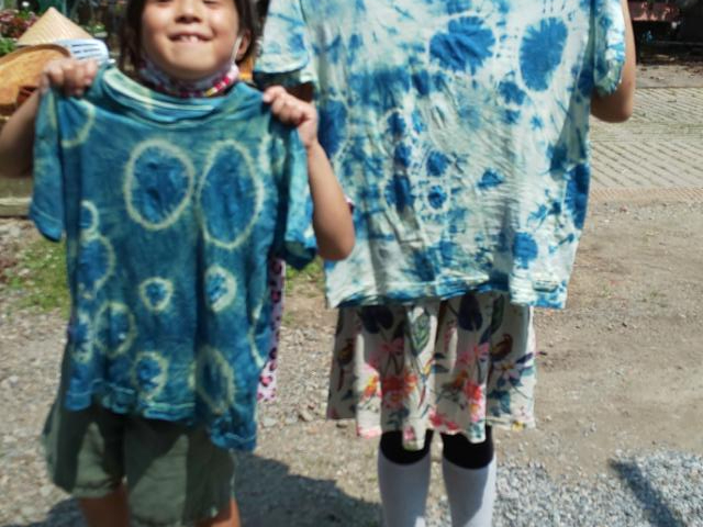 tߑ̌it̎nA~LT[Ɋ|AtB͗lr[ʂ⊄蔢ōAtɒЂ.EɈ̃Vc@