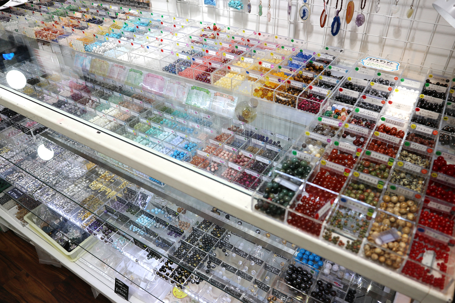 Fl̂z҂Ă܂Ǐ̌͂y݂