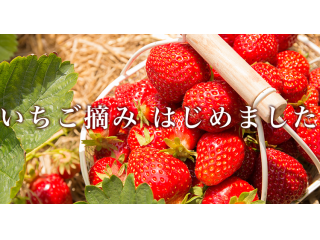 おみやげにもおすすめ♪