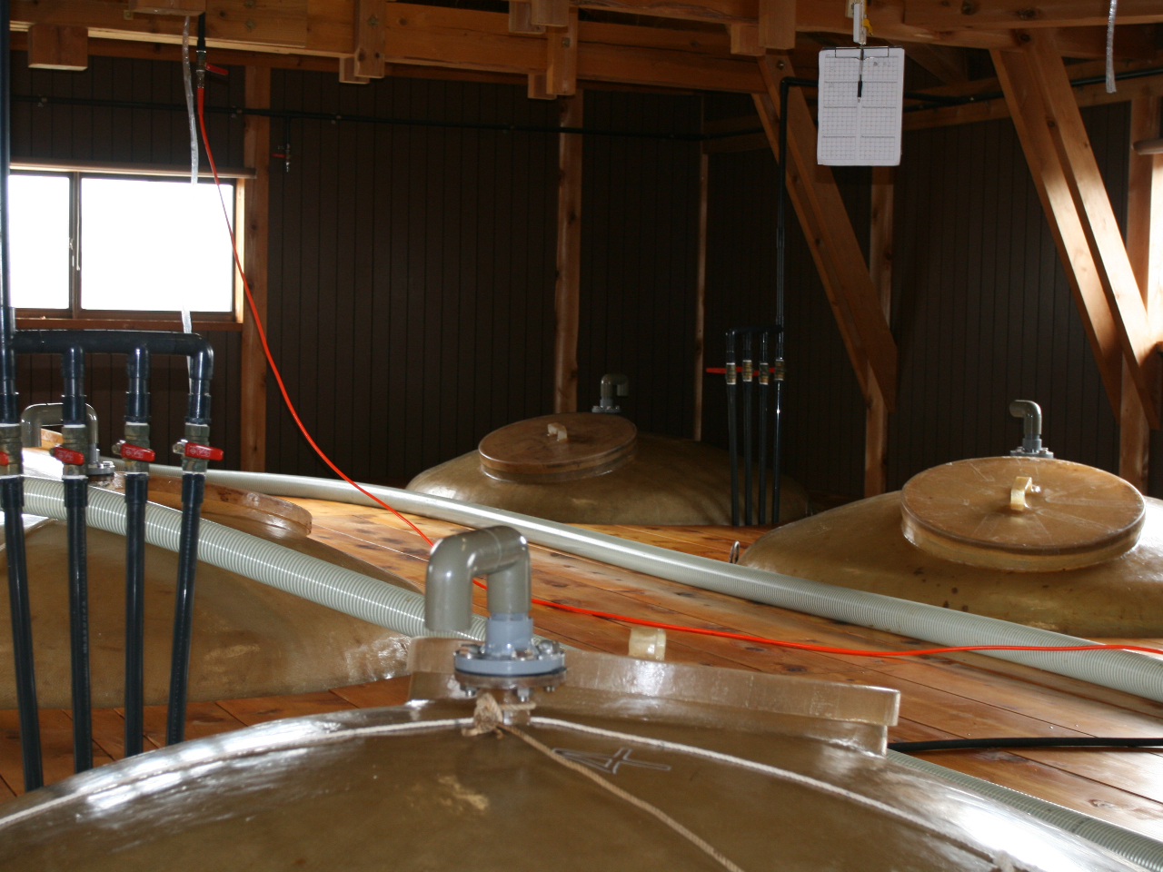 諸味蔵の様子。タンクによって仕込時期が違うため、中の諸味(もろみ)の様子も違いますよ。