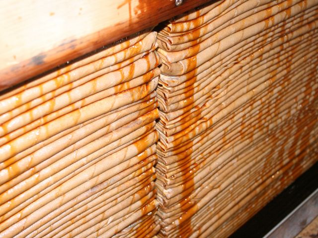 タイミングがあえば、諸味を絞る圧搾作業の見学もできます。