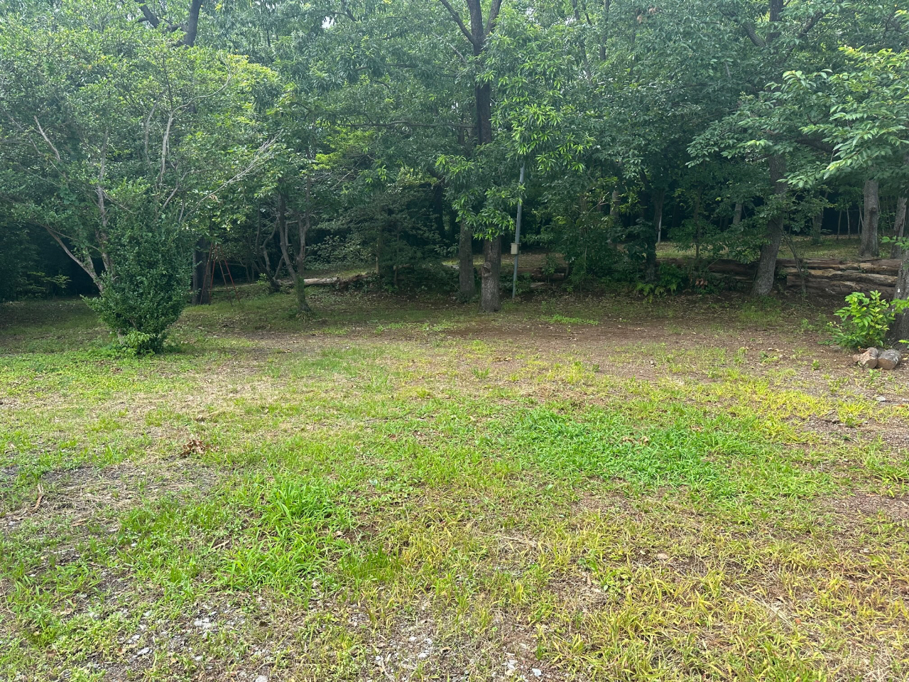 LvTCg͋TCgɂȂ܂NkMRiAqmL̖؁XъԃTCgɂȂ܂