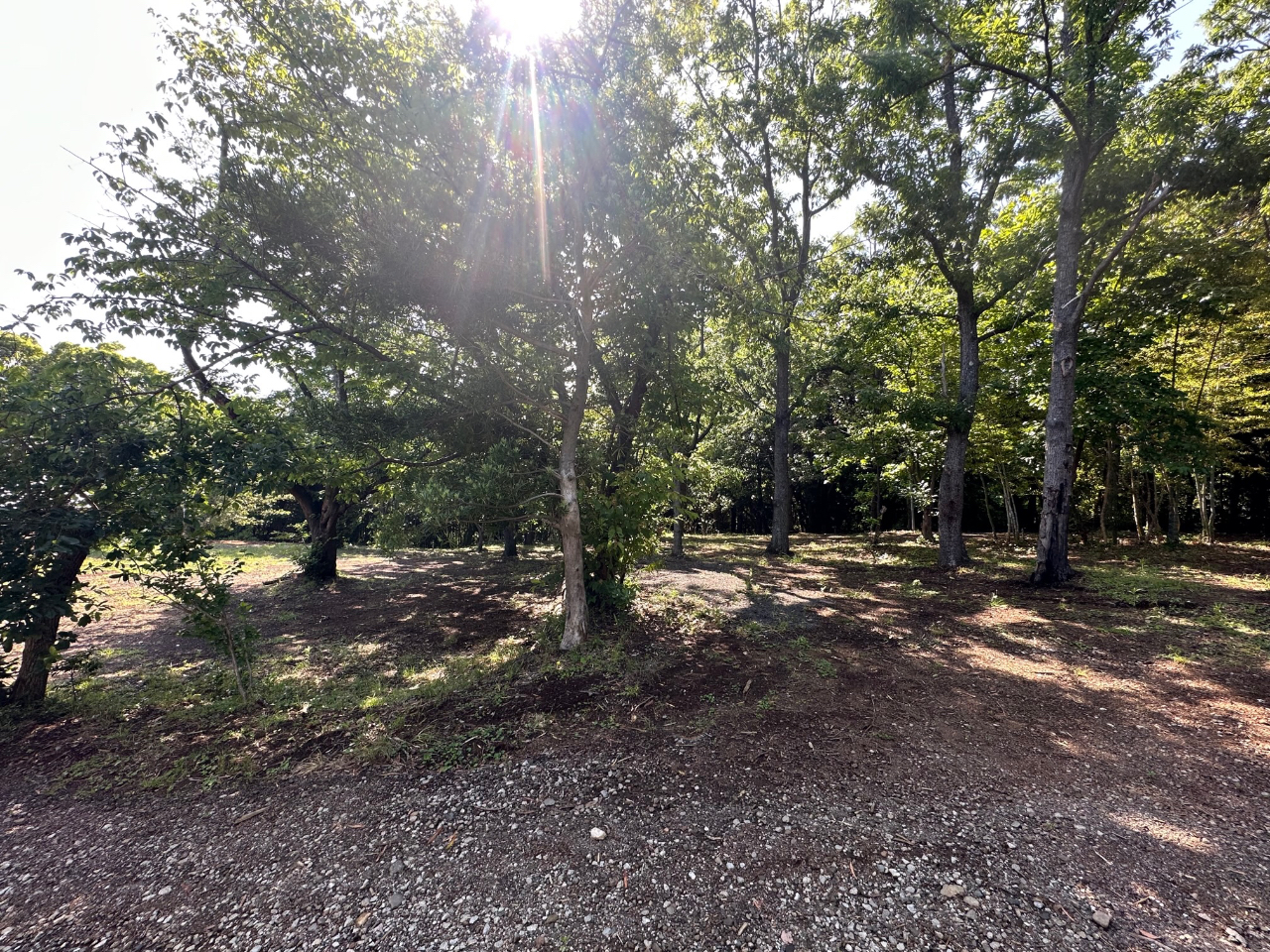 ъԃTCgȂ̂ŁAĂ̒˓ՂĂ܂B