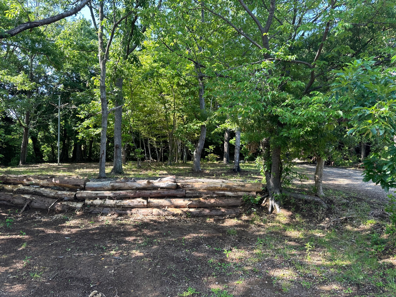 lC܂ŎԂłSAxoC݂܂ŎԂłQAɋ߂̂ɂƂĂÂŎRLȏꏊłB