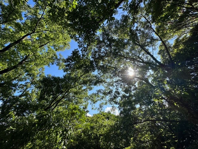 ؁XɈ͂܂ꂽTCgȂ̂ŗDz˂ł܂