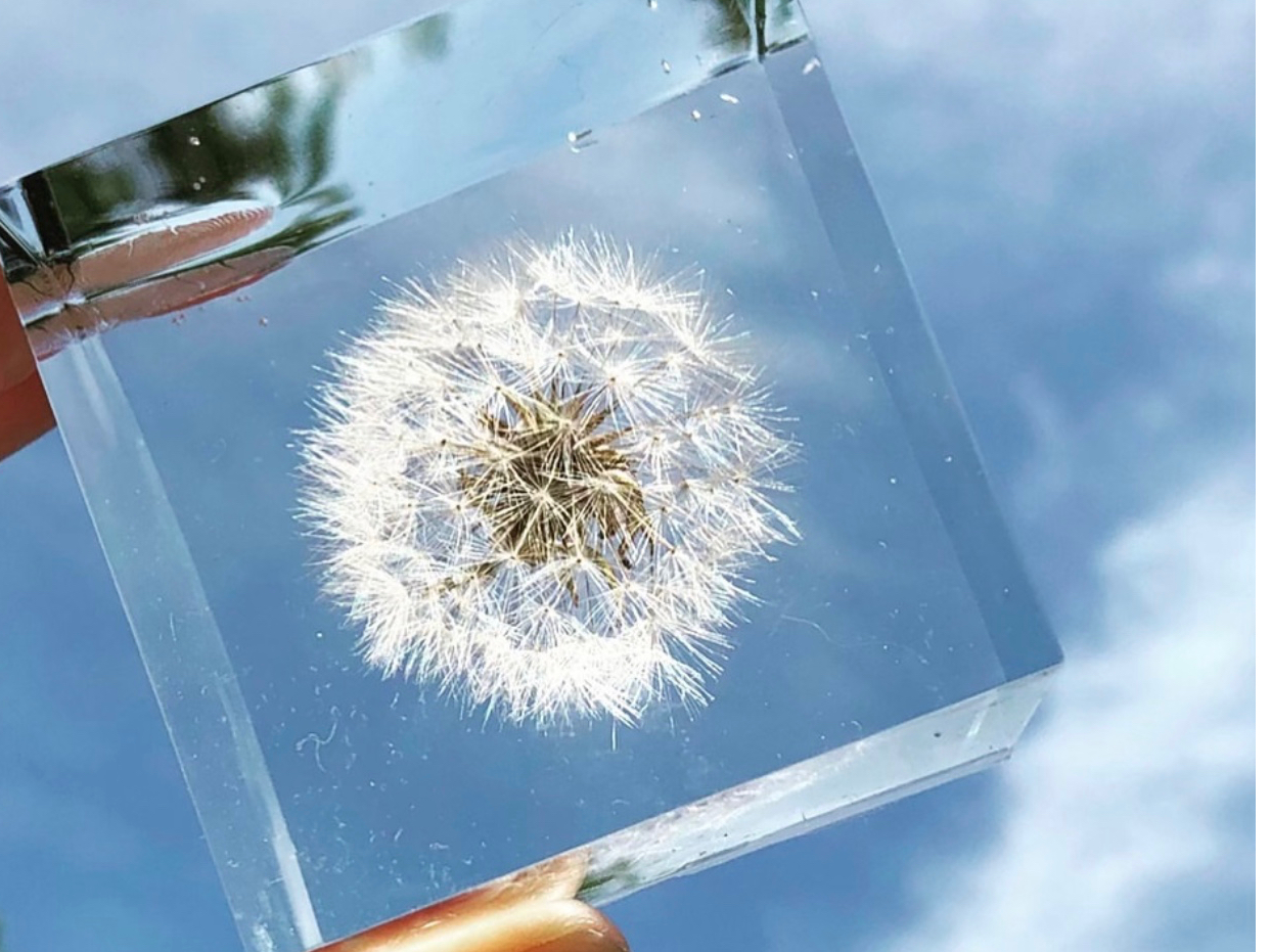 _固まるハーバリウムキューブ午前プラン♪制作体験_.:*女性・カップル