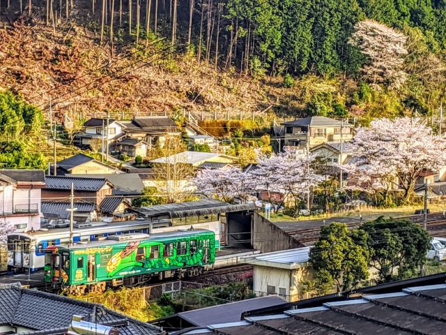 タイミングが合えばこんな風景にも出会えます