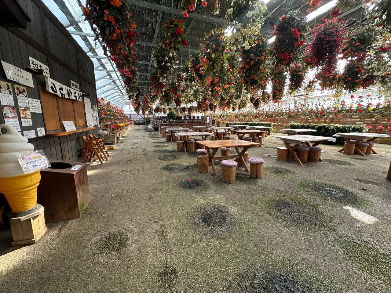 園内は広々としています♪