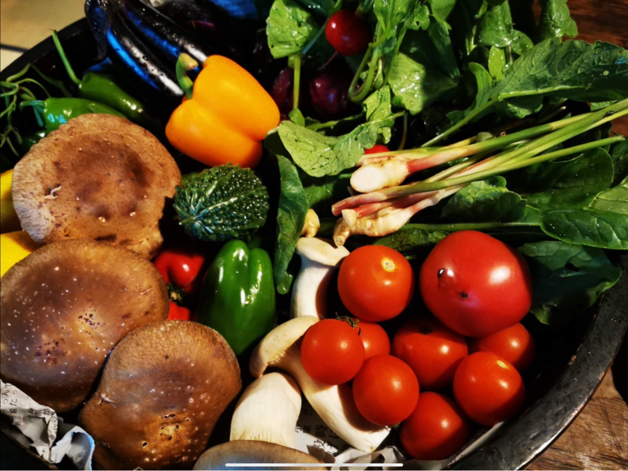 VNȖ_؂͂ꂾłI΂񂪒O߂č؂񏢂オĂˁI