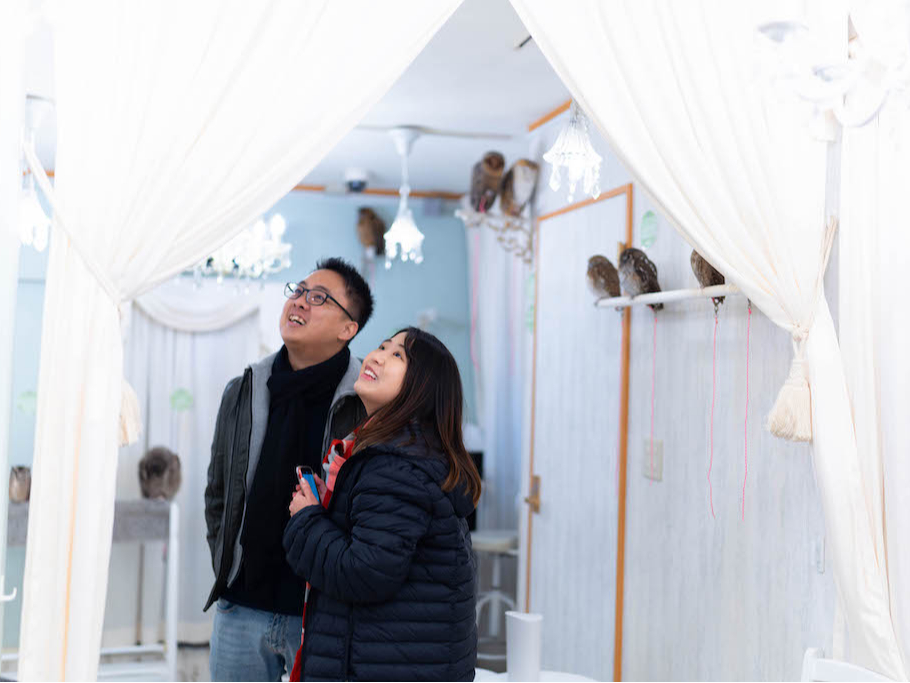 tNEJtF ALotNE Ht X̐FXȏꏊɃtNEI