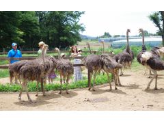 石岡市のレジャー 体験ランキングtop8 じゃらんnet 石岡市のレジャー 体験ランキングtop8 じゃらんnet