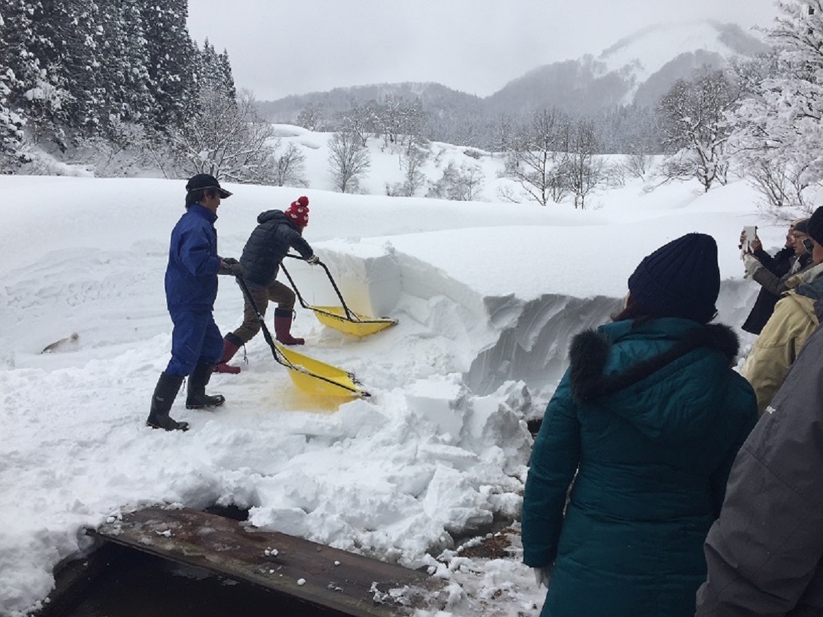 雪ノコ スノーダンプ雪消し体験 肘折温泉郷 じゃらん遊び体験 雪ノコ スノーダンプ雪消し体験 肘折温泉郷 じゃらん遊び体験