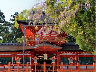 中門と藤