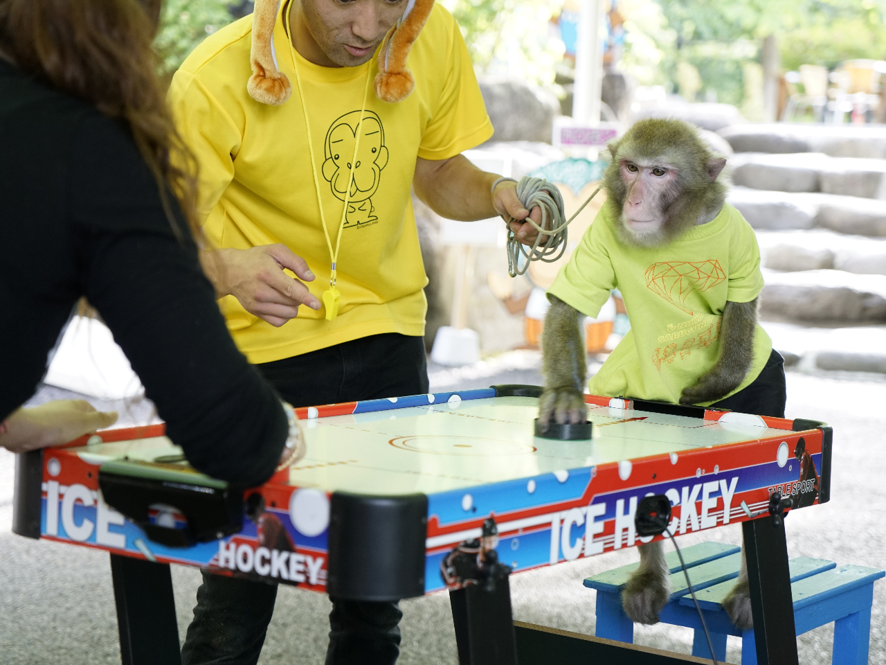平日 直前予約ok おさるランド入園券プラン おさるのエンターテインメント 劇場ステージも観覧ok 定期開催時間あり ファミリー 女性 カップルに人気 コロナ対策実施中 日光さる軍団 じゃらん遊び体験