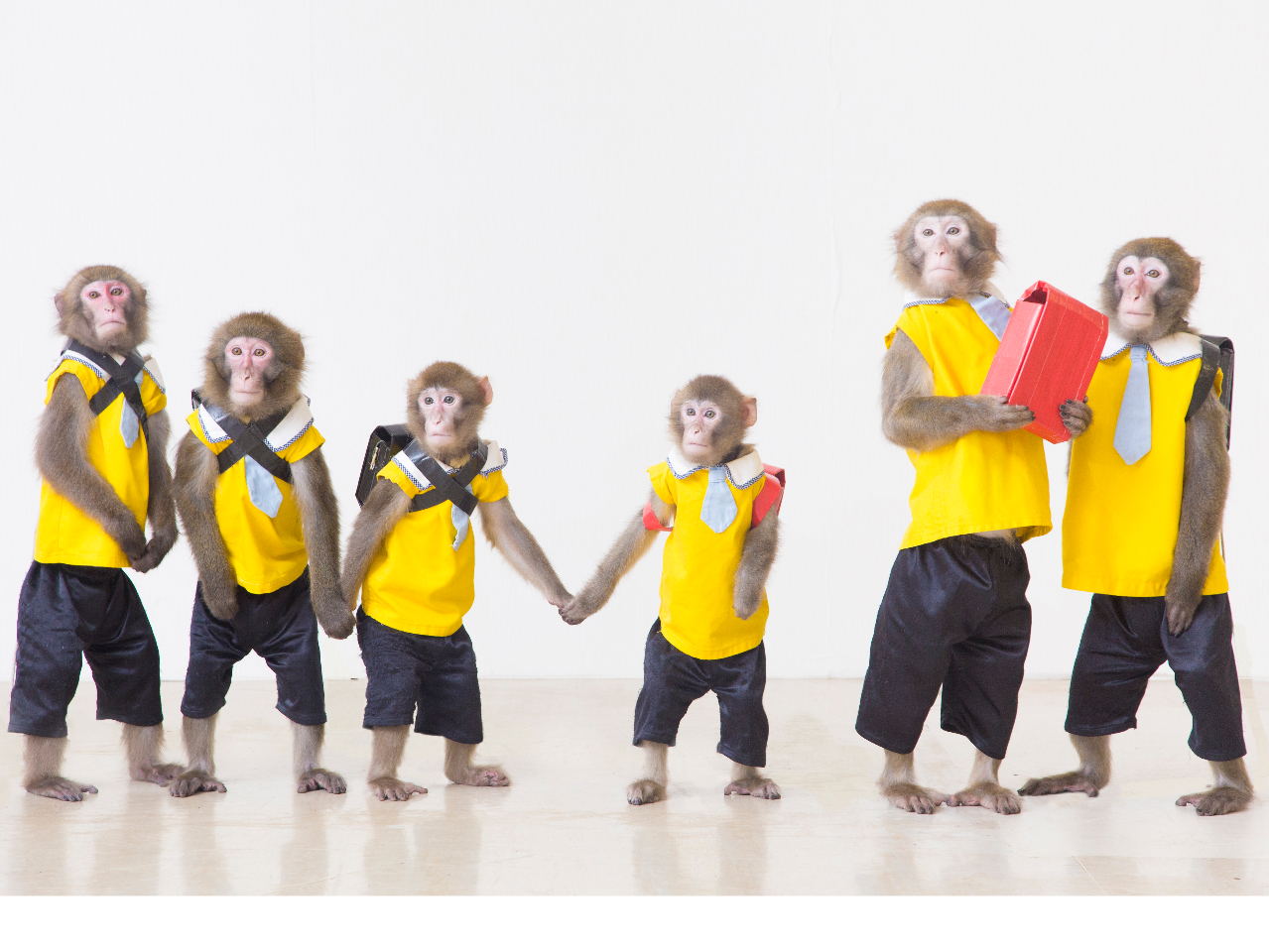 鬼怒川温泉駅周辺の観光スポットランキングtop10 じゃらんnet 鬼怒川温泉駅周辺の観光スポットランキングtop10 じゃらんnet