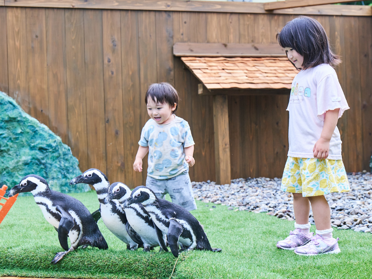 栃木県・日光市】【土日祝☆入場券】【最大300円割引！】おさるさん達