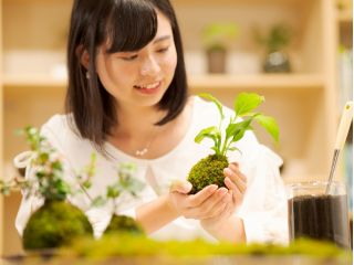 苔玉づくり体験(手作りすると、さらに愛着がわきます)