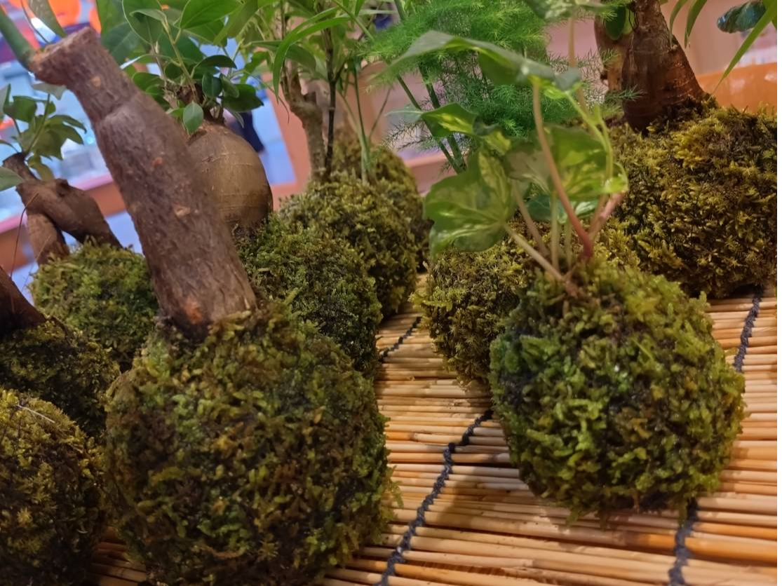 ����������ׂĂ݂܂���