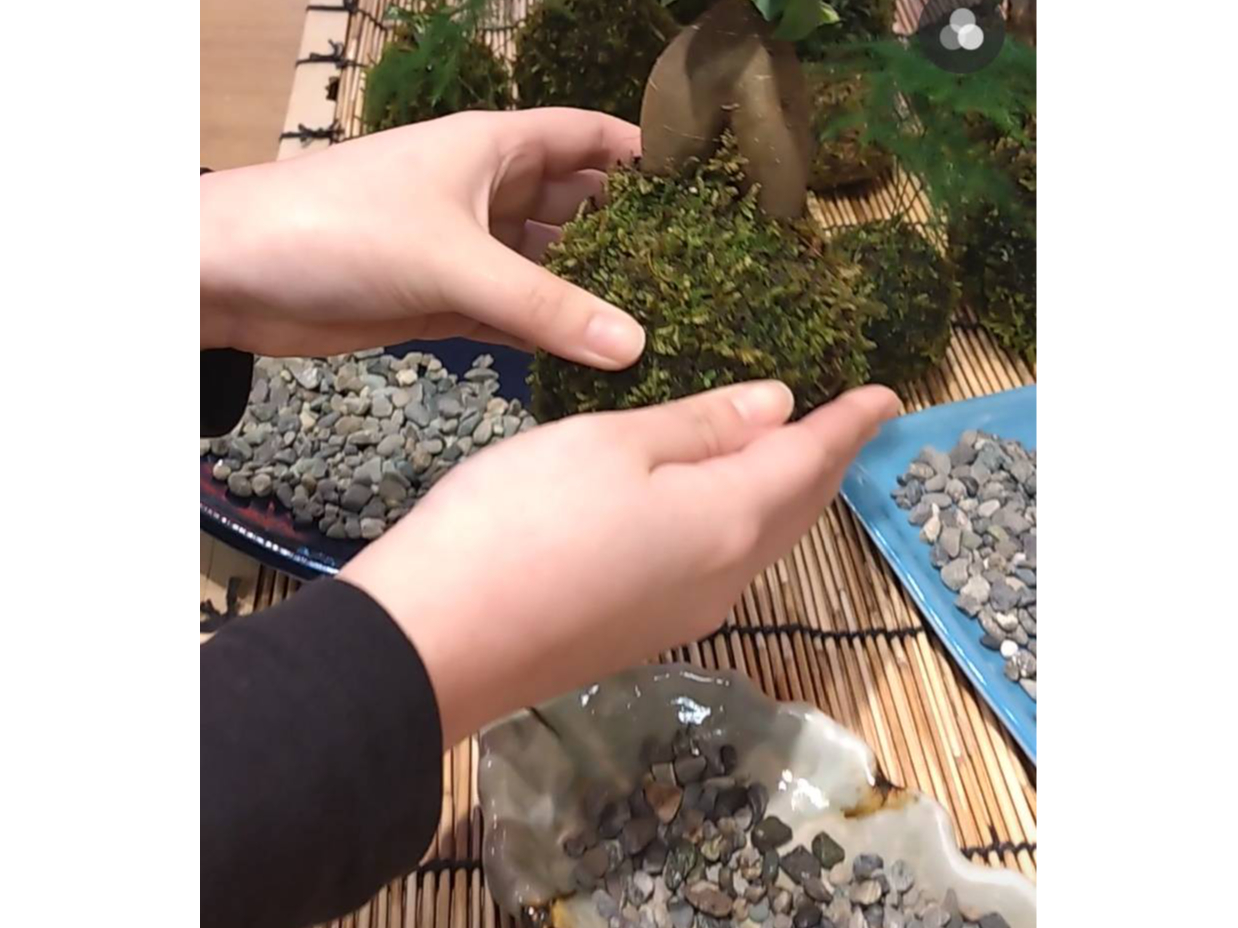 ��ǂ����悤���ȁH