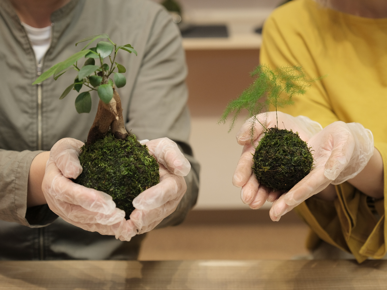 伊勢夫婦岩めおと横丁』で緑豊かな苔を使った「苔玉づくり」体験をして