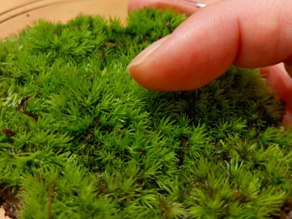 �G��ƋC����������