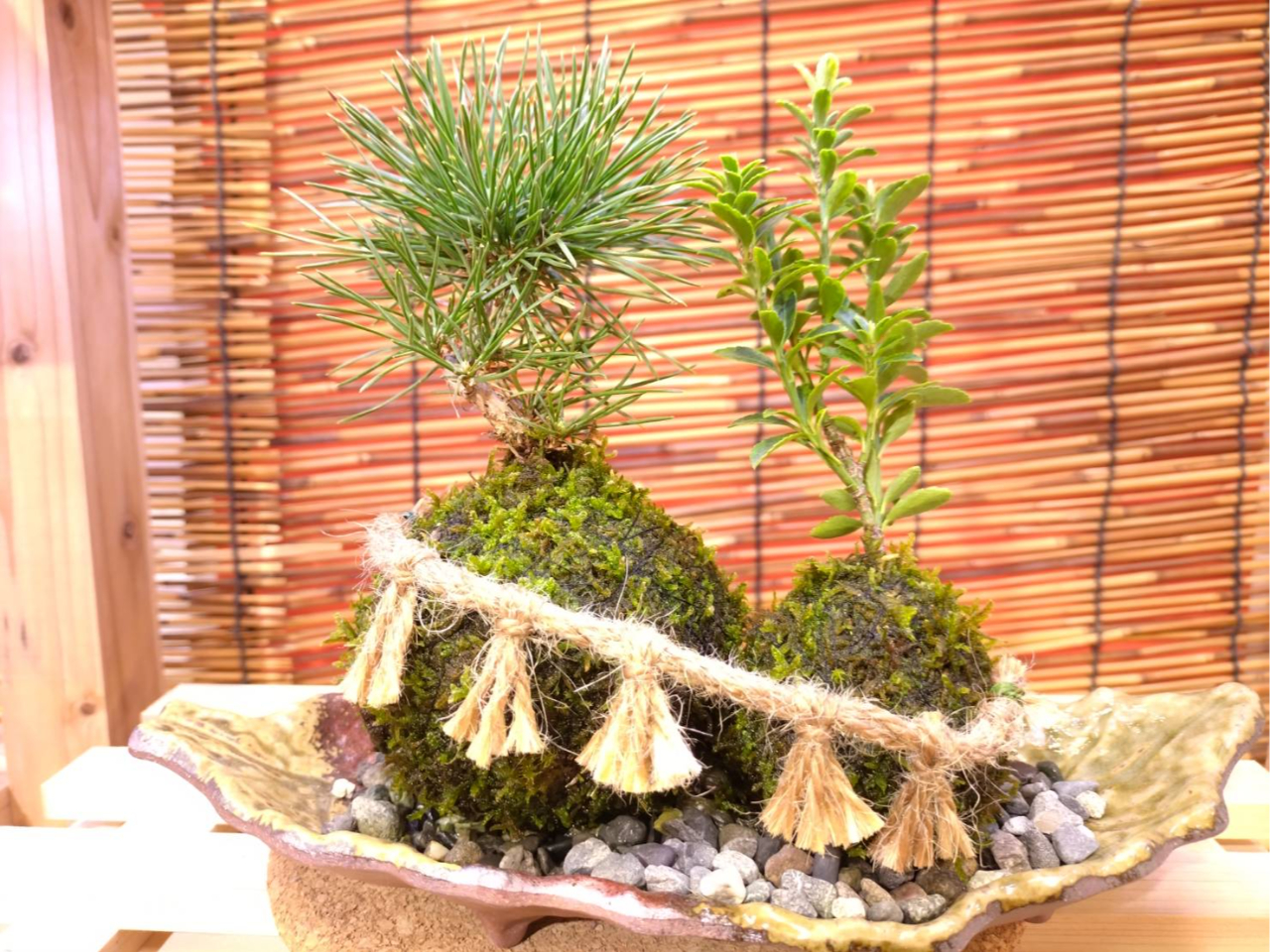 ɐ߂Ƒۋʁ@AtBۋʑƏ𕪒SĂ肢ƂŁAlłP̍i邱Ƃo܂B