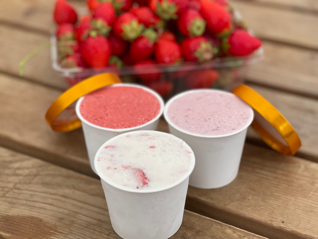 2025【＊いちご摘み取り体験｜入園料プラン＊】＜量り売り＞新鮮いちご