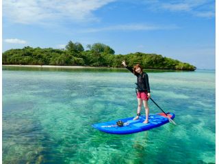 大人気美ら海サップ