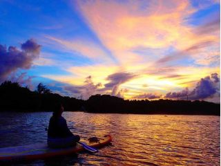 美しいサンセットサップ