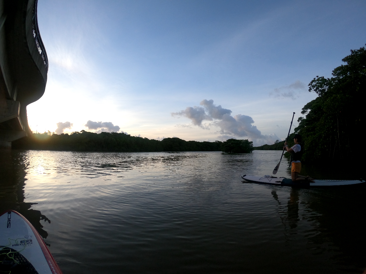 ���̏o�Ƌ��ɏo�����܂�