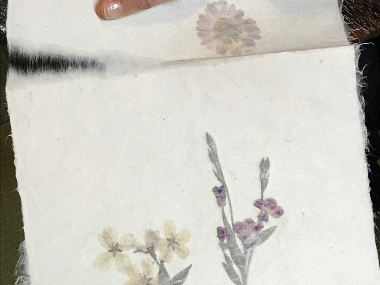 20分ほどで紙が乾燥したら、ハガキサイズに水切りします。ハサミは使わないんですよ!