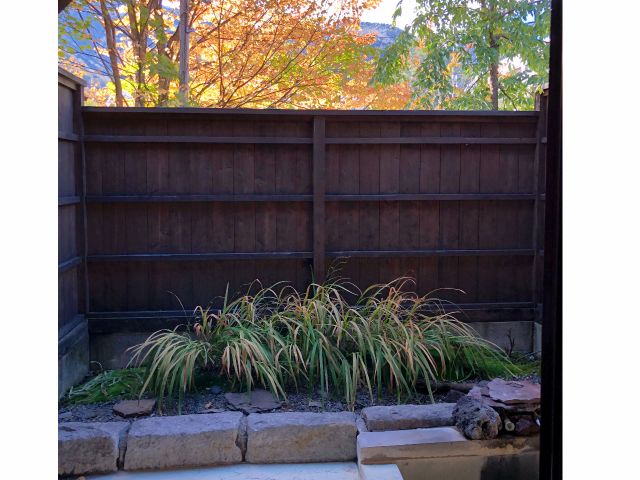 10月は紅葉を愛でながら・・