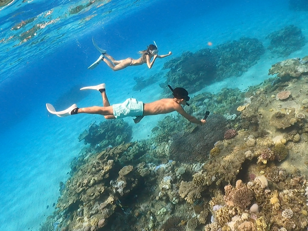 加計呂麻島の美しい海でたくさんの魚達と一緒に泳ごう♪
奄美大島・加計呂麻島のきれいな海を1日中たっぷり満喫できるコースです!
無人島上陸、SUP、スキンダイビング、