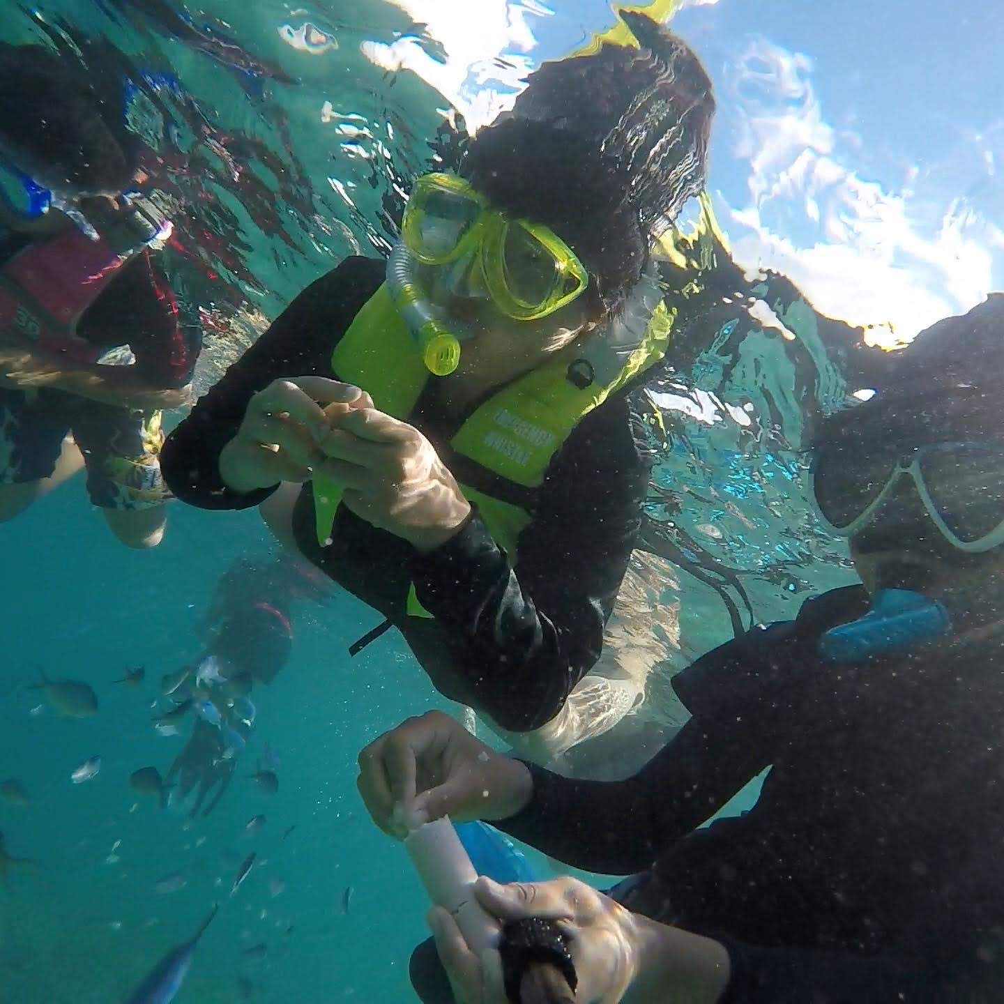 【奄美大島・加計呂麻島】初めてでも大丈夫！気軽に加計呂麻島の海を楽しもう　2～3...