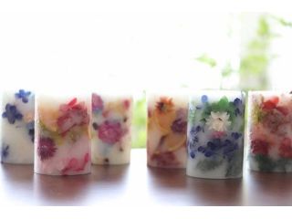 Mサイズは作りごたえもあってきっとご満足いただけます!