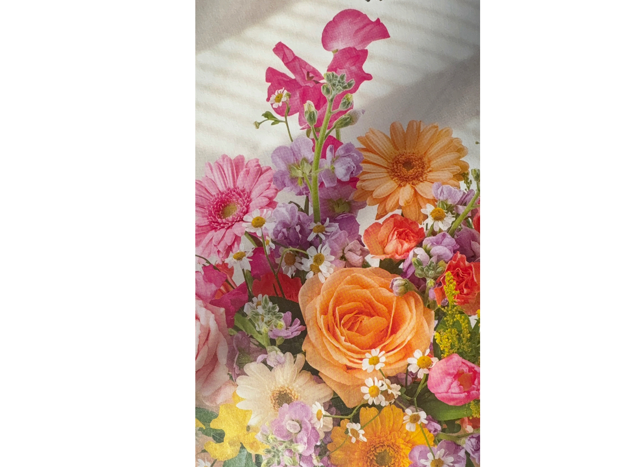 1��27���̏T�͏t�炵���ԑ��B�I�����C�����b�X���ł��B