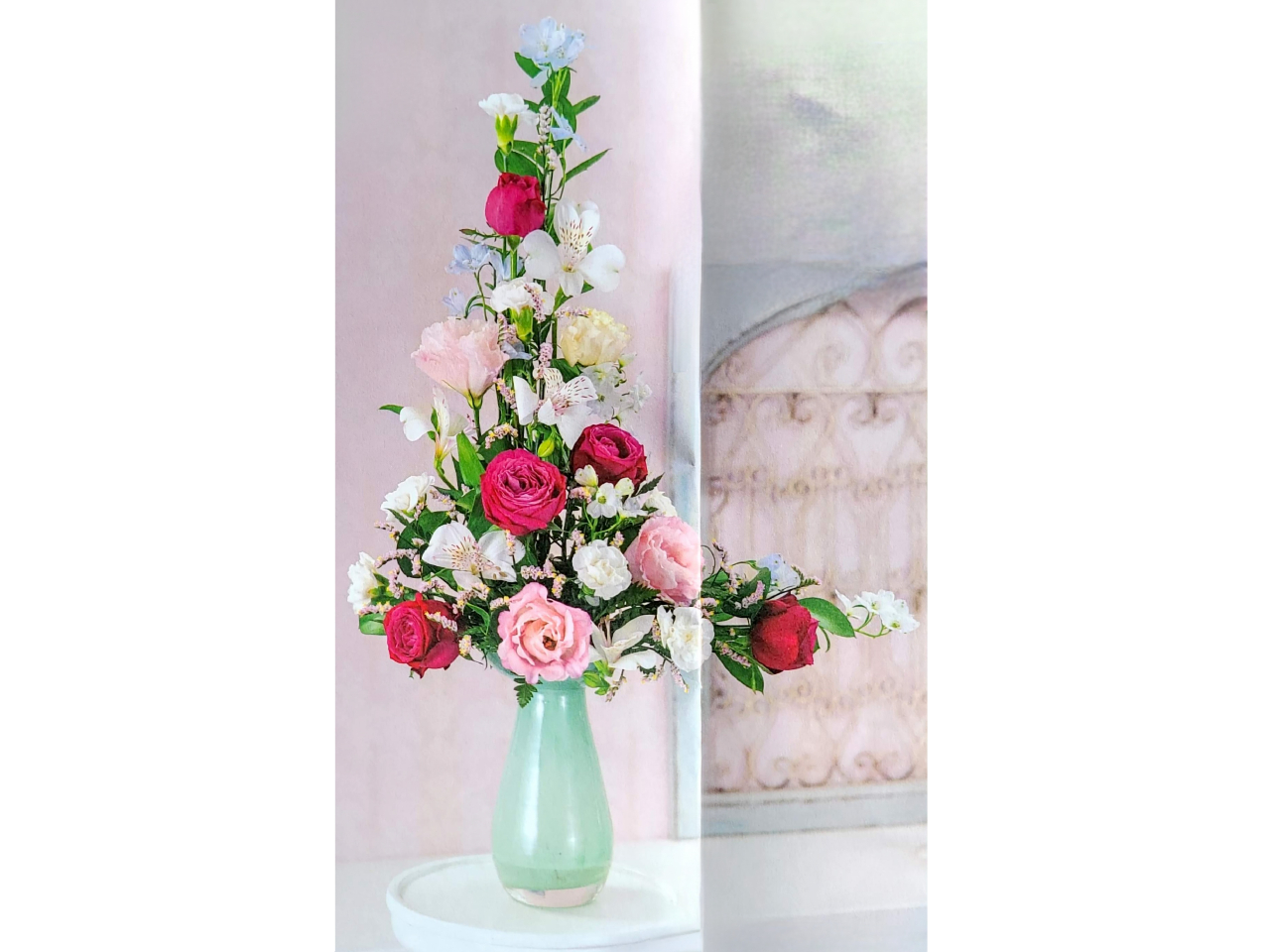5/19?5/25 �G���V�F�[�v