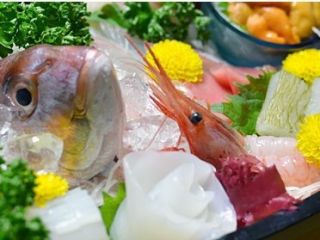 富山 日帰り旅行 遊び アクティビティ体験一覧 トラベルコ