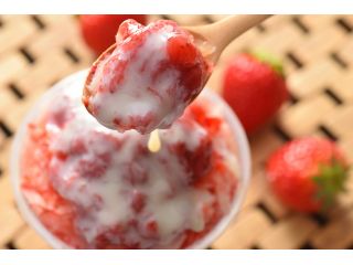 プロが認めるいちご屋 30分いちご狩り gwも受付中 こだわり抜いた美味しいいちごをぜひ 燦燦園 でお楽しみください いちご屋 燦燦園 じゃらん遊び体験