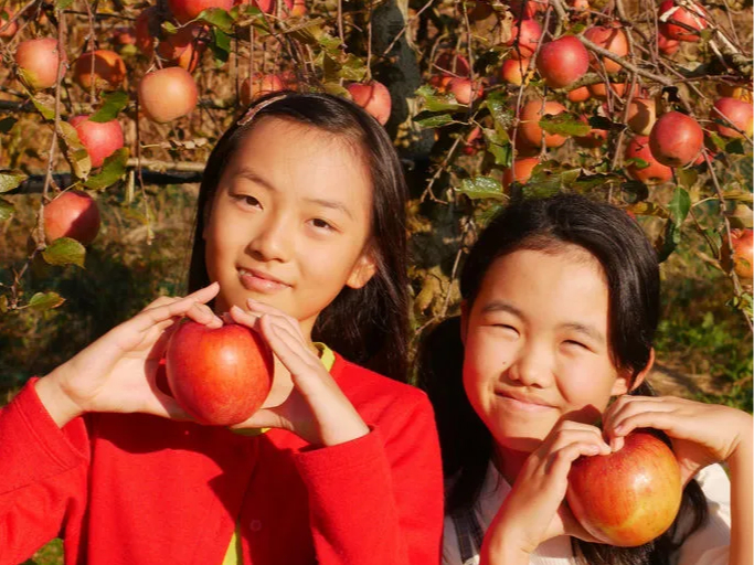 家族で、仲間で、じっくり選んでもぎ採って、木陰に広げたシートの上で楽しく召し上がれ!