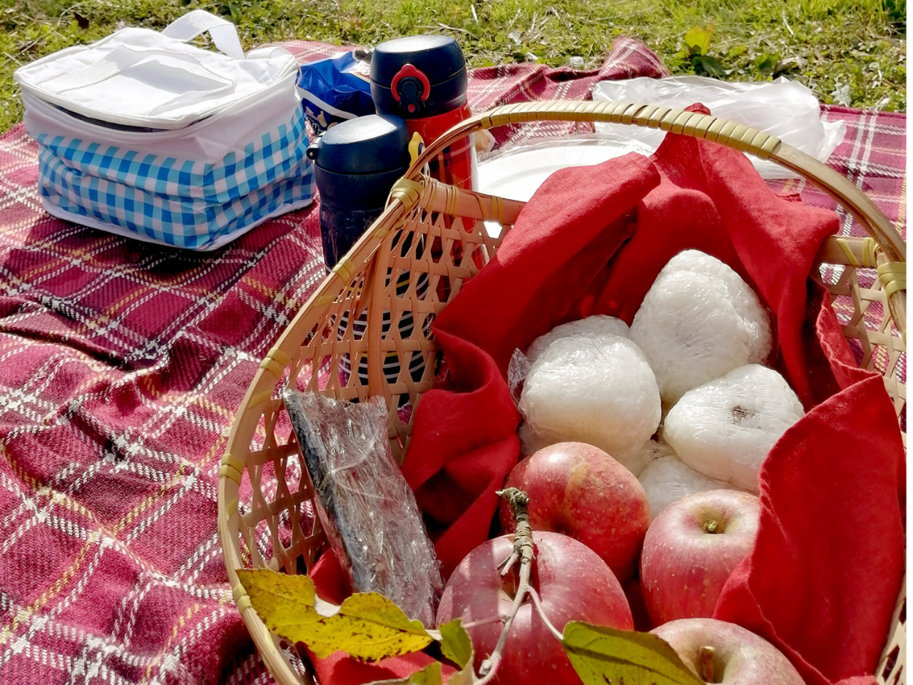 お弁当の持ち込みOK!ピクニック気分でりんご狩り♪