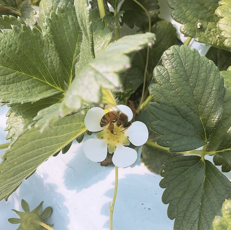 �����o�`�̗͂��؂�Ă܂��I(*�L�ށM*)