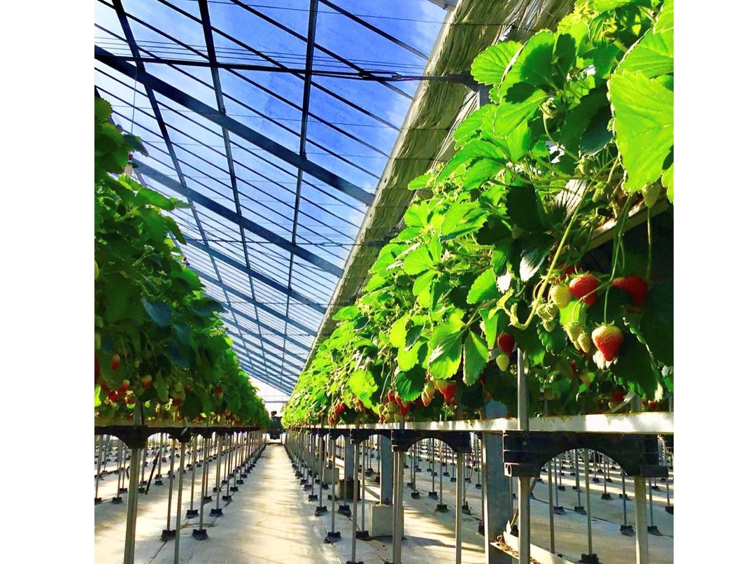 ̓TbJ[OEhRʕ̍L̑^nEXłI