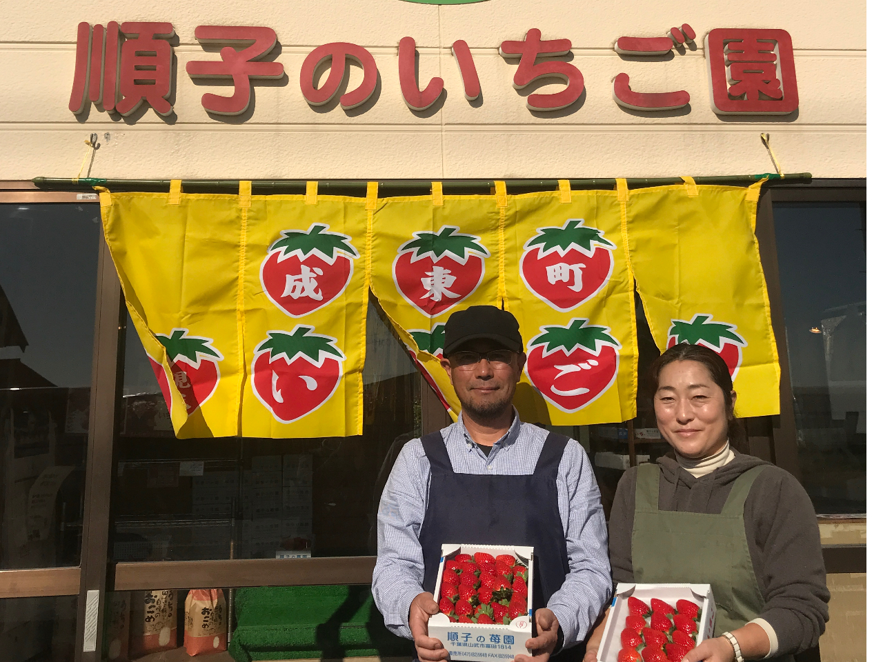 ★じゃらん限定!たっぷり60分食べ放題プラン★3/25~4/5 最大9品種の苺を...