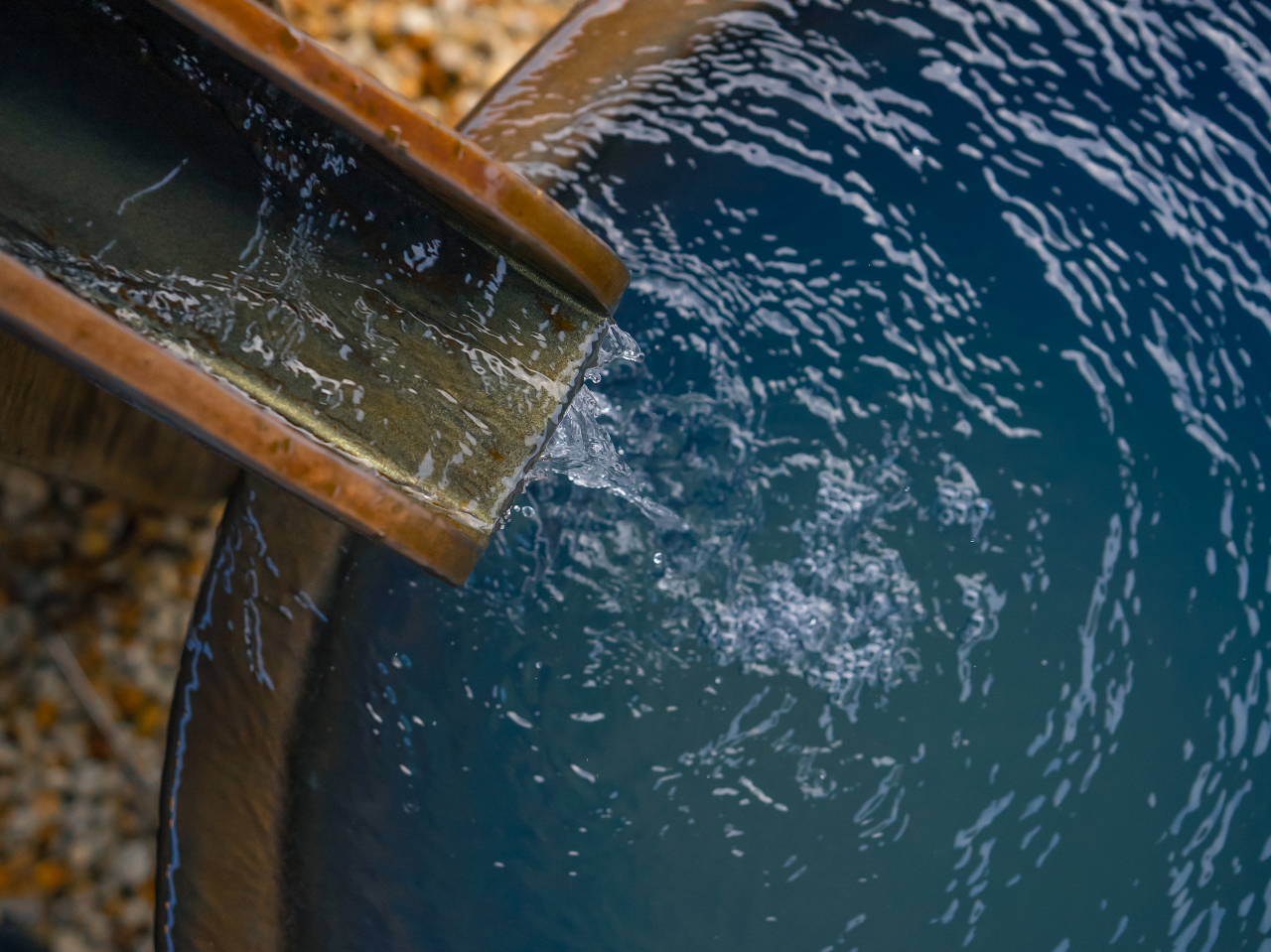 A|̐CuvB򐬕̂₳ݍ݁AƂƂ܂BŖ키Ƃ̂łȂCƂȂĂ܂B