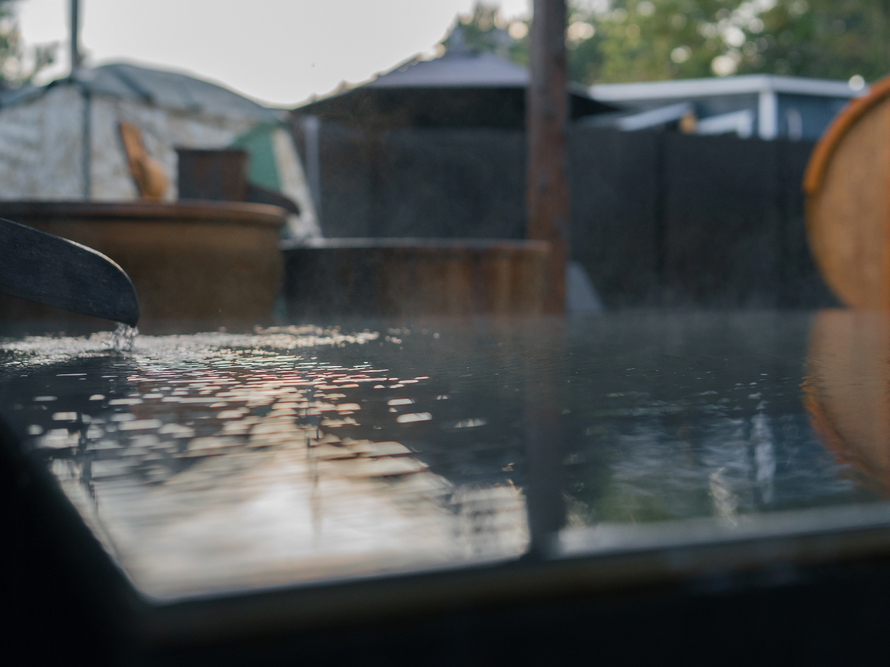 gVR̘IVCpӁBTEiDł͂ȂAȕXɃ][ĝ悤ȋC𖡂Ă܂B