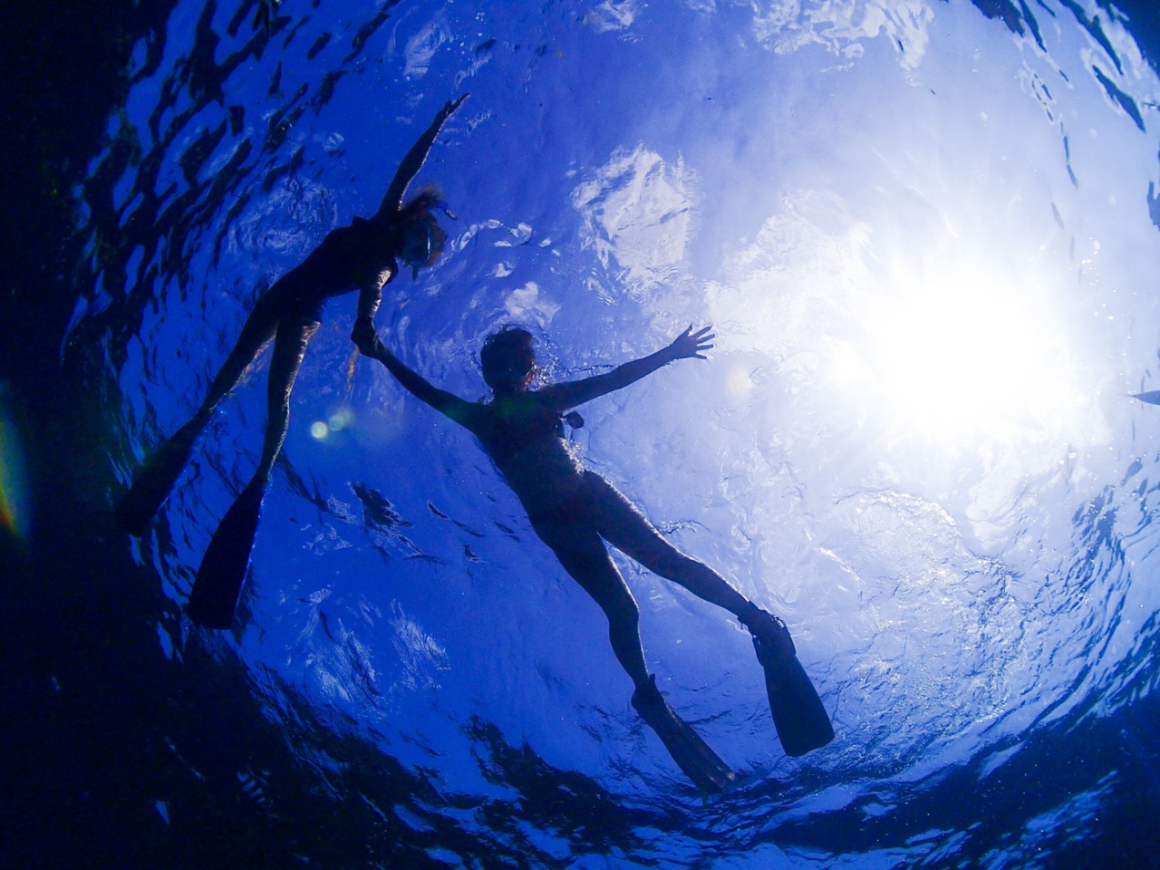 ƑA̗ǂFBAJbvŁIʐ^ׂăv[gł