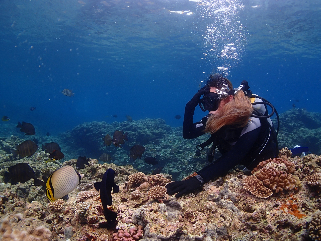 Ƃ̏oEEEBقł͖킦ȂŁ