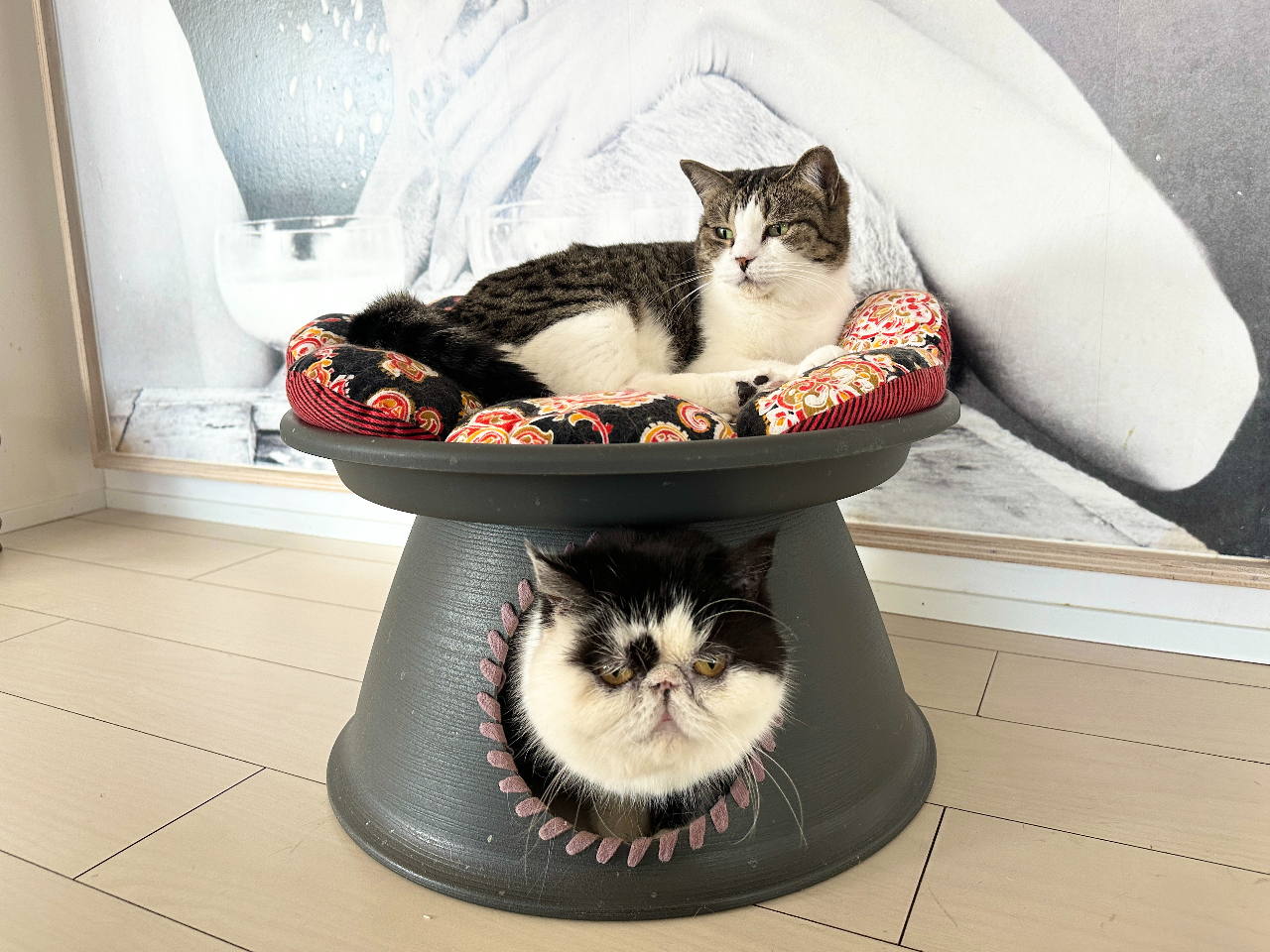 iju[_[󌻏ꂩ烌XL[ꂽA}`Ĵ₭݁BCɓ̂G̏ォ~Ȃ̂ŁAɒӂł΁BijɐBޔL̃X[W[BȁI