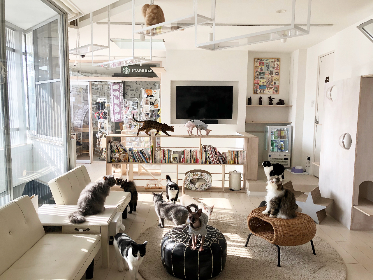 ZX܂ł铖X̓X͂ƂĂ邭ALXƂĂ܂B܂Ɖ߂AX^btƔLk`AlXłBЁAƂ났B 